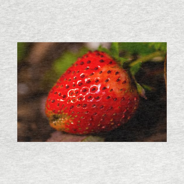 Strawberry 2 by KensLensDesigns